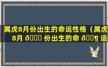 属虎8月份出生的命运性格（属虎8月 🐅 份出生的命 🐶 运性格怎么样）